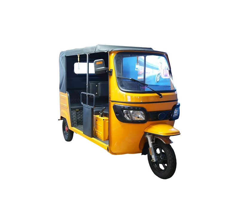 DJ 5-Seater Electric Minibus